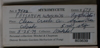 Image Associated With the Occurence